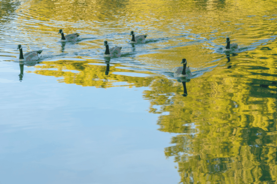 interactive workshop, process mapping, data analysis, team collaboration, strategic planning